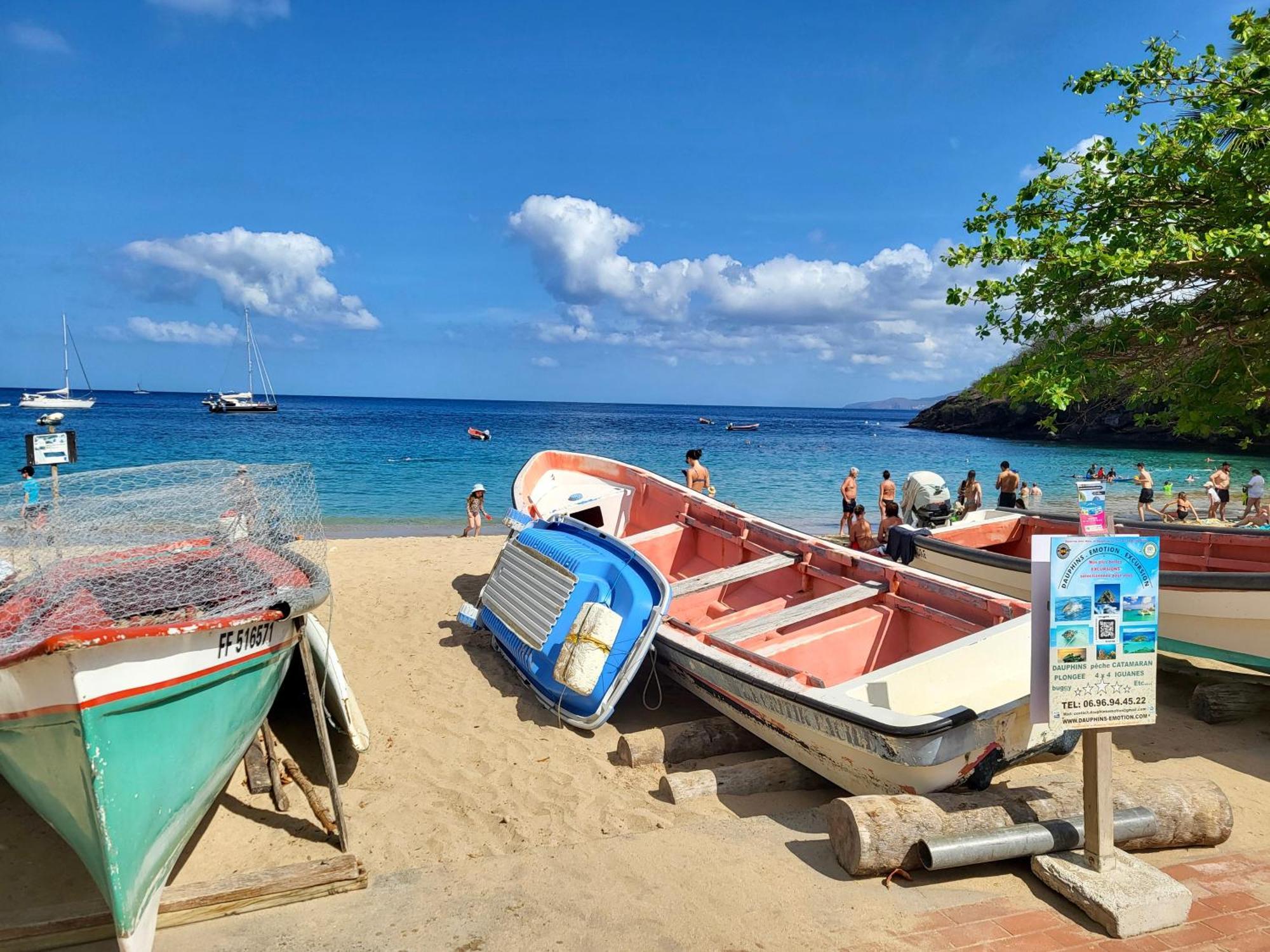Vue Magnifique Sur La Nature , Proche Des Plages 4 A 6 Pers Rivière-Pilote المظهر الخارجي الصورة
